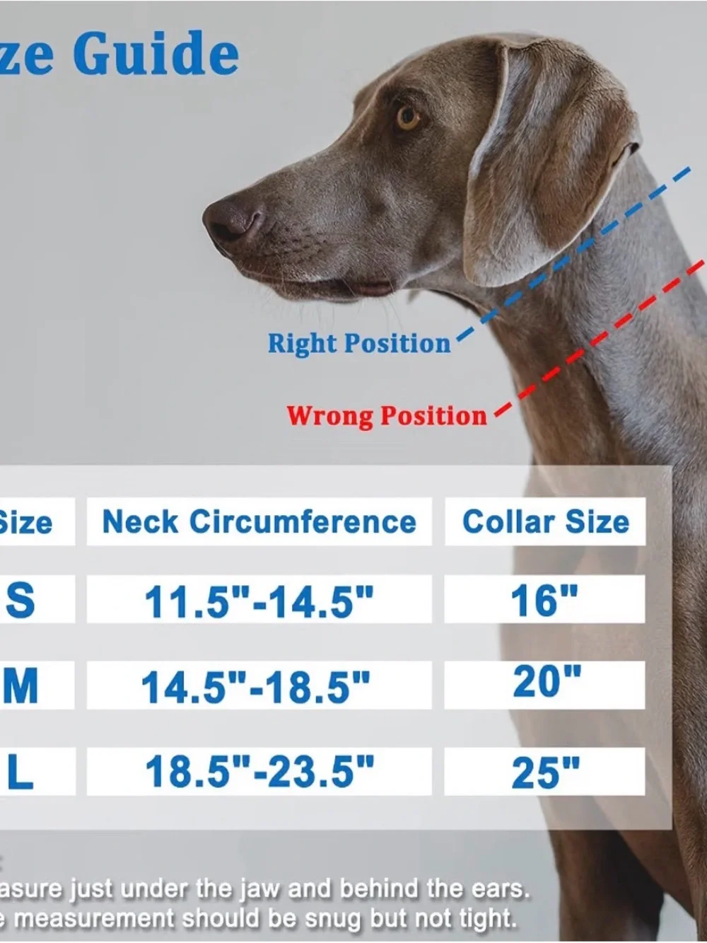Martingale Collar No Pull Walking Training  Large
